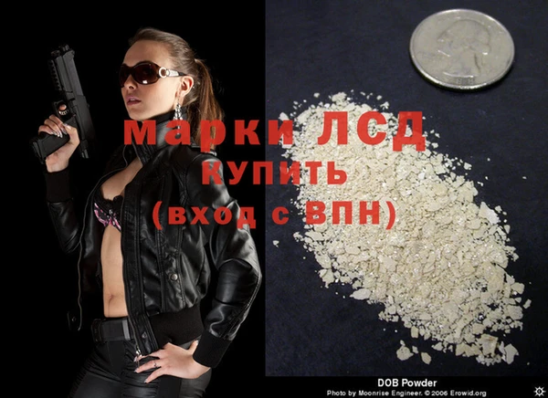 apvp Алексин