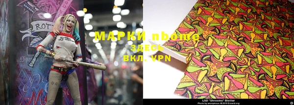 apvp Алексин