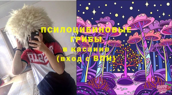 apvp Алексин