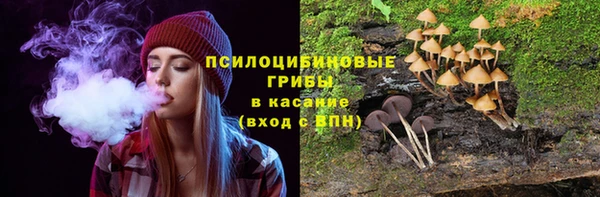 дурь Абдулино